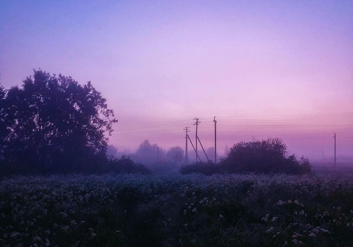开云：云端生活的开启者